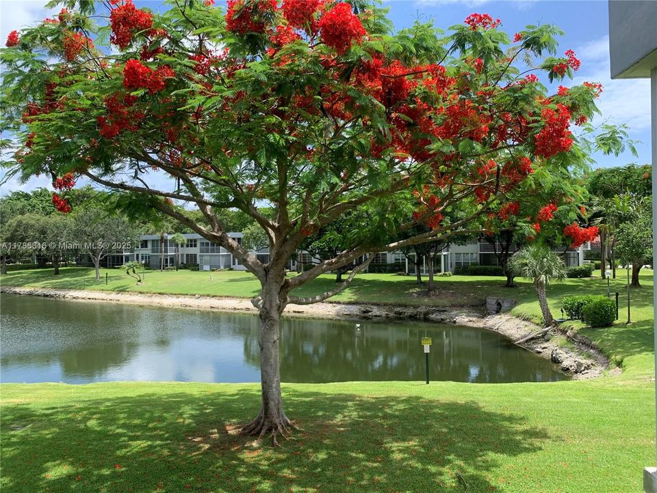 На продажу: $317,500 (3 спален, 3 ванн, 1620 Квадратных фут)