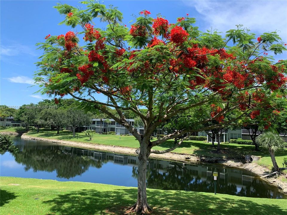 На продажу: $317,500 (3 спален, 3 ванн, 1620 Квадратных фут)