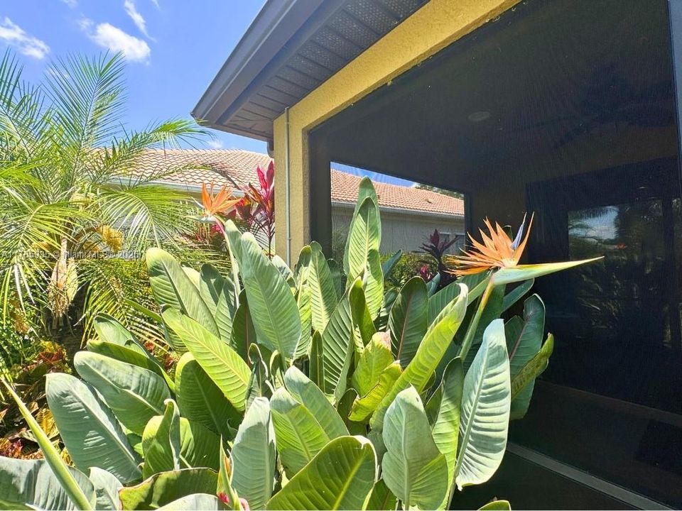 For Sale: $498,900 (2 beds, 2 baths, 1669 Square Feet)
