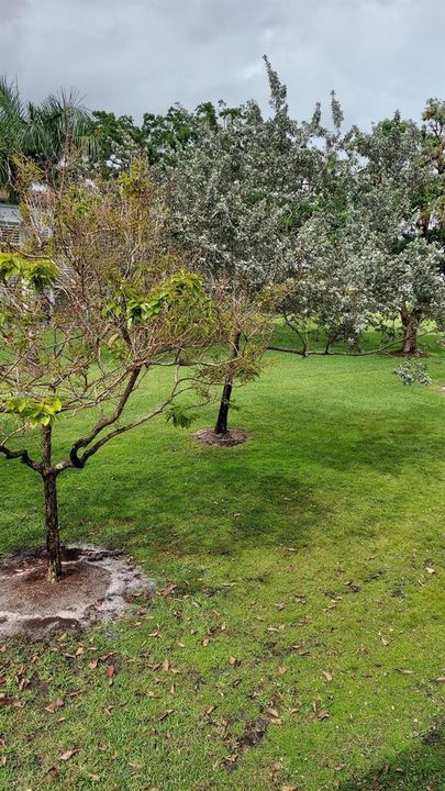 待售: $125,000 (1 贝兹, 1 浴室, 600 平方英尺)