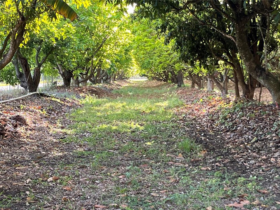 MAMAY GROVE AG EXEMPT PROPERTY