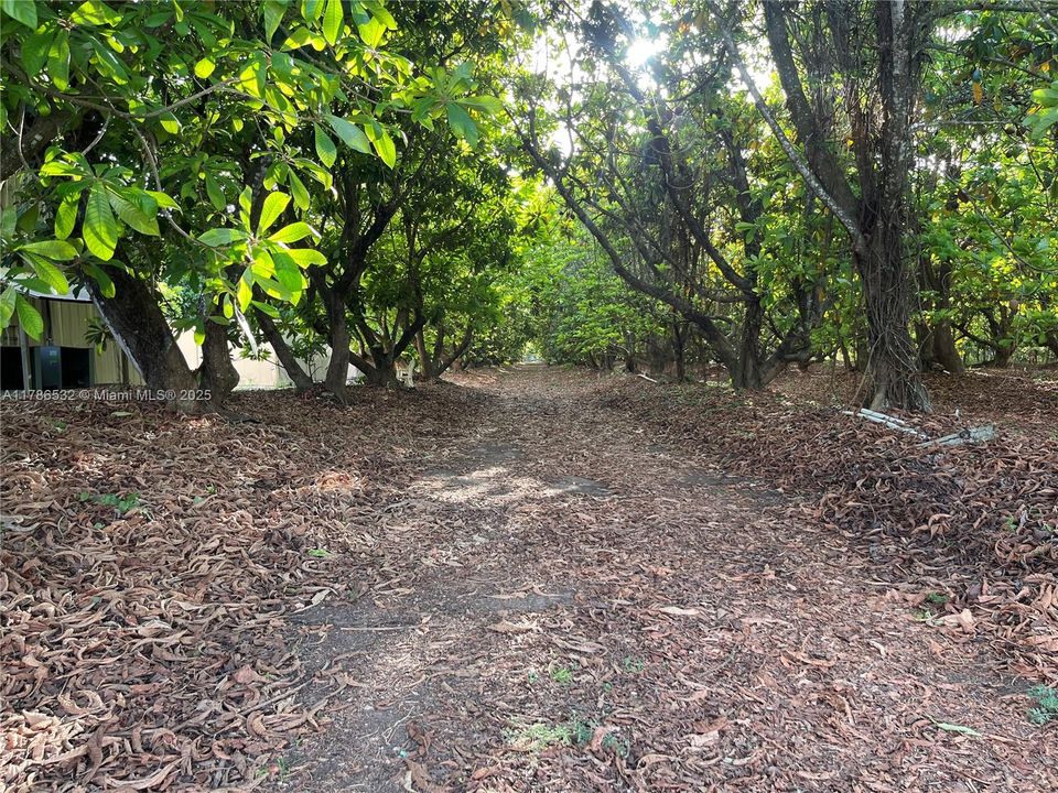 MAMAY GROVE, AG EXEMPT PROPERTY