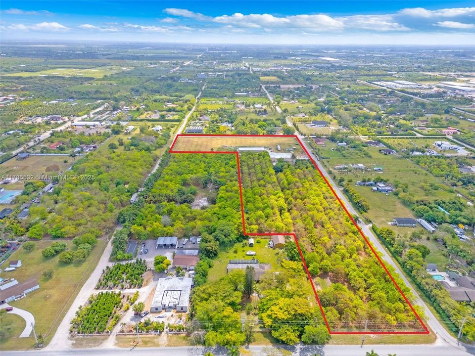 MAMAY GROVE BOTH VARIETIES WITH CLEARED 5 ACRES MORE OR LESS WHERE ALL INFASTRUCTURE RESIDES. GREAT USAGE OF LAND. 20X 30 FOOT CENTERS BUTTERBALLS...