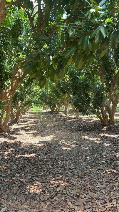 Recently Sold: $1,100,000 (0 beds, 0 baths, 0 Square Feet)