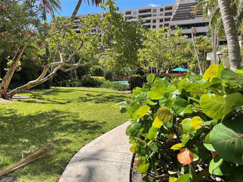 Недавно арендовано: $4,500 (2 спален, 2 ванн, 1435 Квадратных фут)