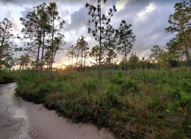 待售: $28,500 (2.54 acres)