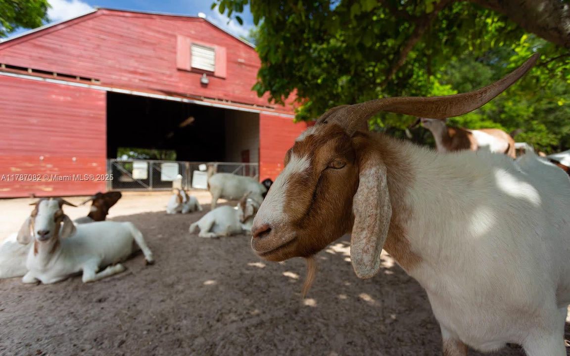 Recently Rented: $3,250 (3 beds, 2 baths, 1692 Square Feet)