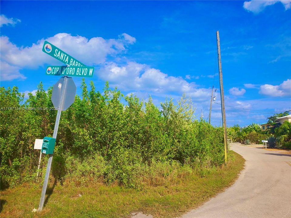 待售: $620,000 (0.41 acres)