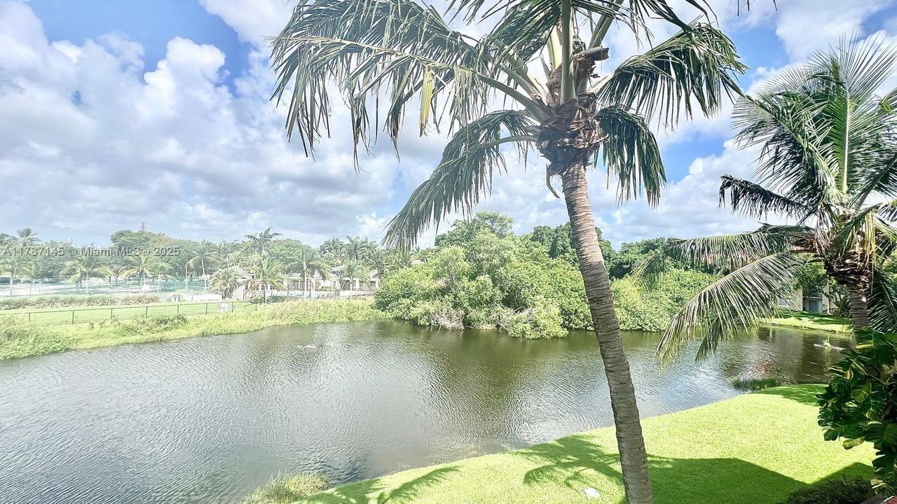 最近租的: $1,850 (1 贝兹, 1 浴室, 760 平方英尺)