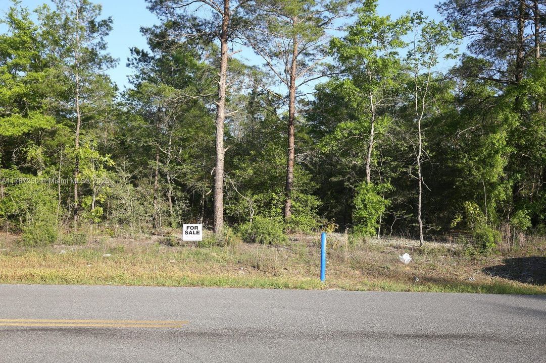 最近售出: $29,000 (0.49 acres)