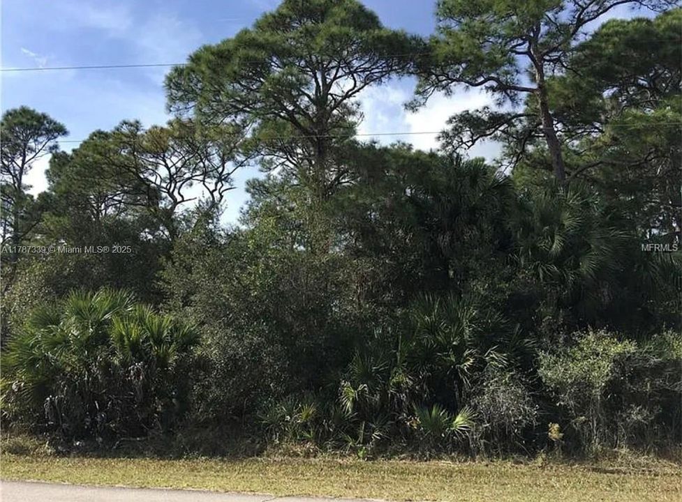 最近售出: $13,500 (0.23 acres)