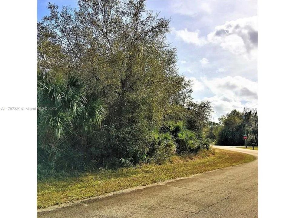 最近售出: $13,500 (0.23 acres)