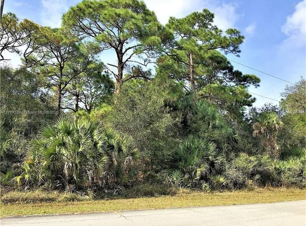 最近售出: $13,500 (0.23 acres)