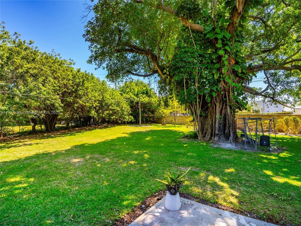 Vendido Recientemente: $895,000 (3 camas, 2 baños, 1524 Pies cuadrados)