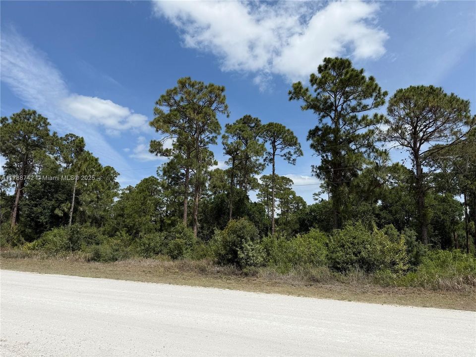 Недавно продано: $52,500 (1.28 acres)