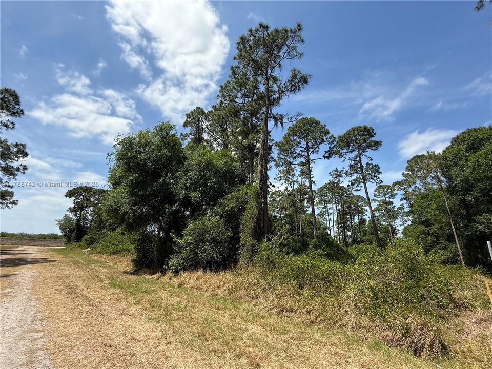 Недавно продано: $52,500 (1.28 acres)