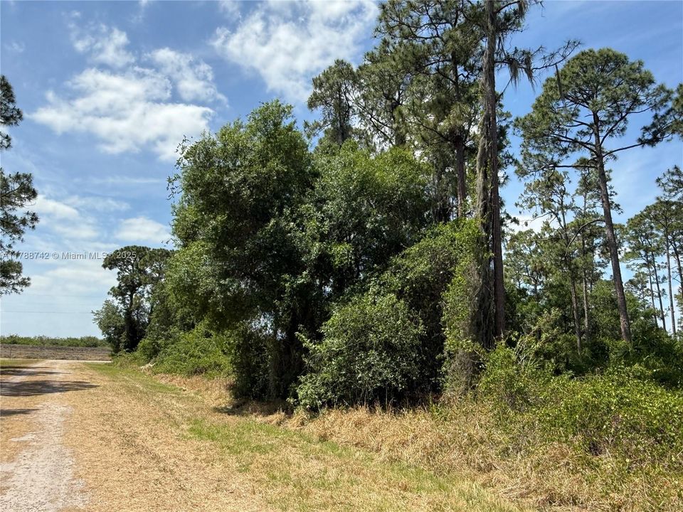 Недавно продано: $52,500 (1.28 acres)