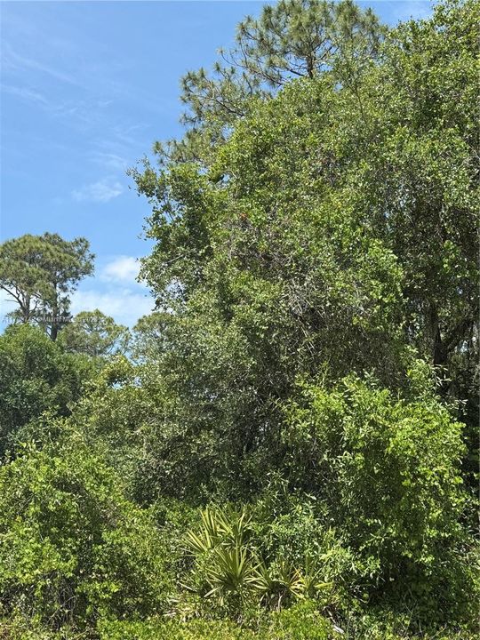 Недавно продано: $52,500 (1.28 acres)