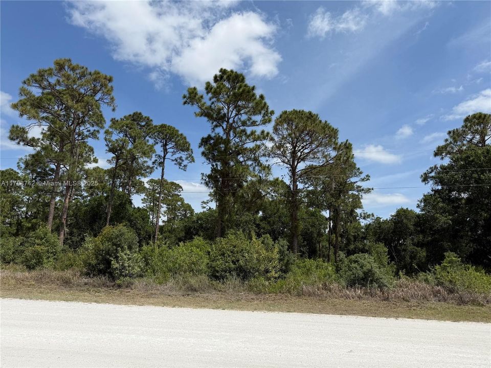 Недавно продано: $52,500 (1.28 acres)