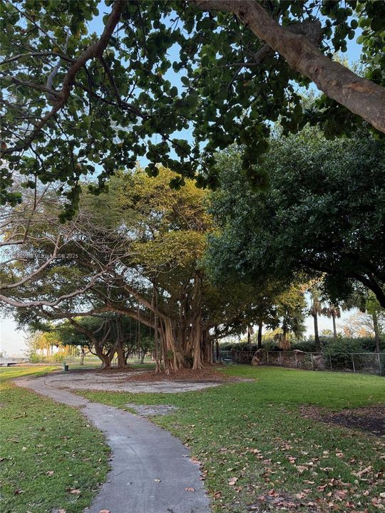 Stearns Park