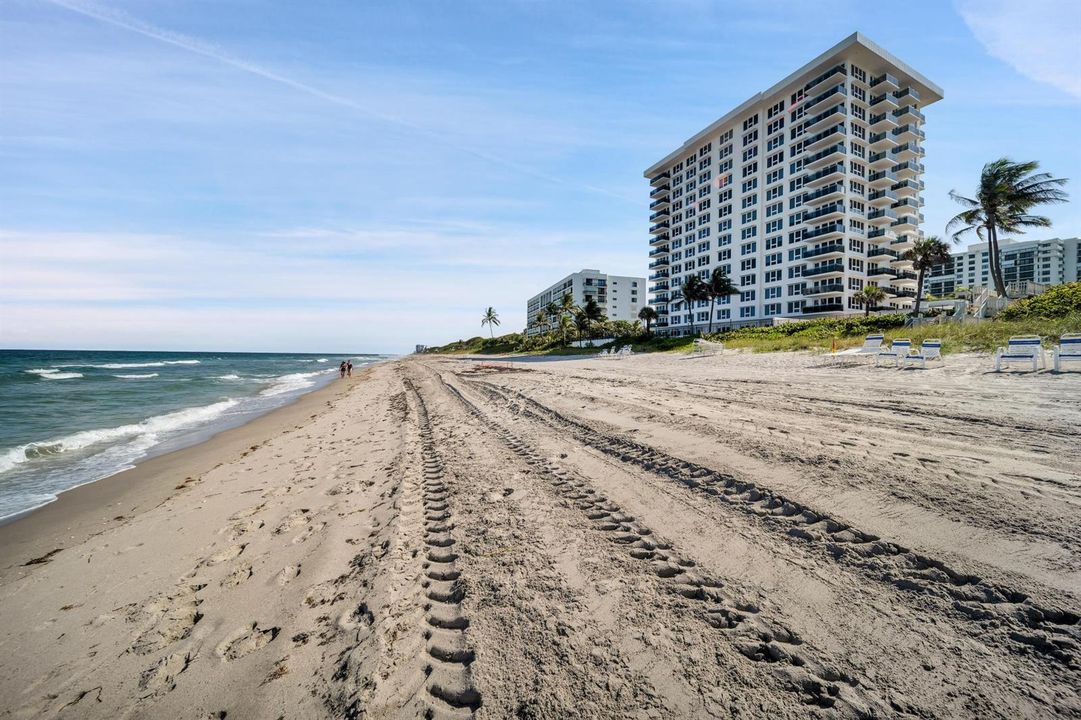 2066 N Ocean Blvd Unit 12NE Boca Raton F