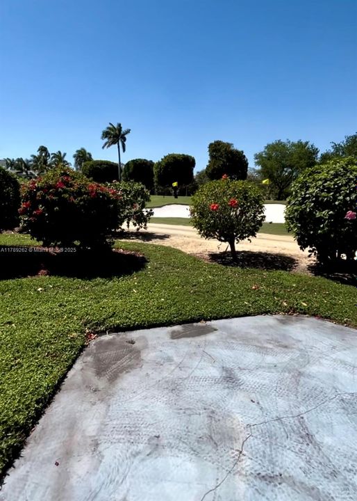 View from backyard of  property