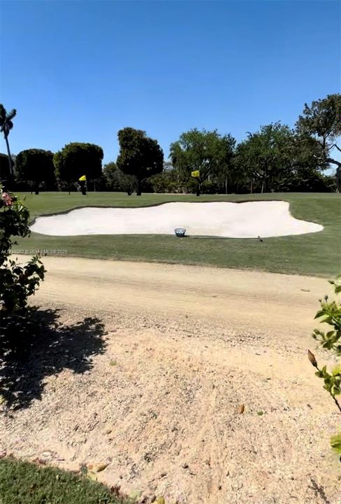 View from back yard of proprety.