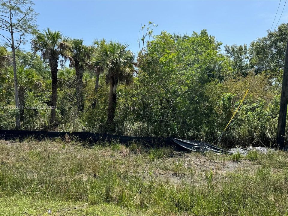 Recently Sold: $75,000 (1.17 acres)