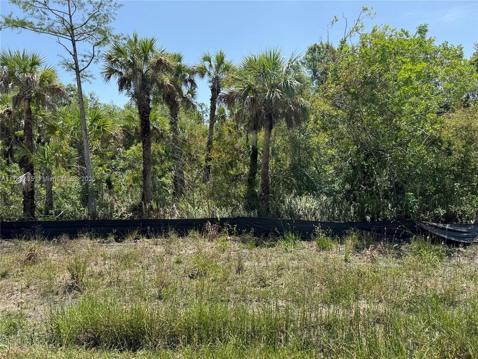 Recently Sold: $75,000 (1.17 acres)