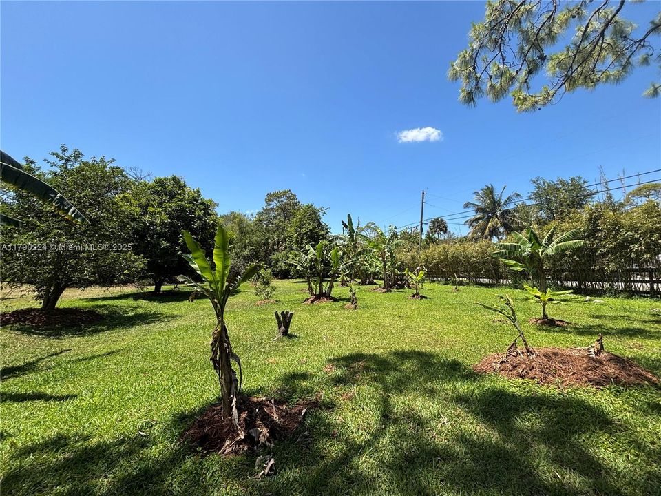 Vendido Recientemente: $1,850,000 (4 camas, 5 baños, 3253 Pies cuadrados)