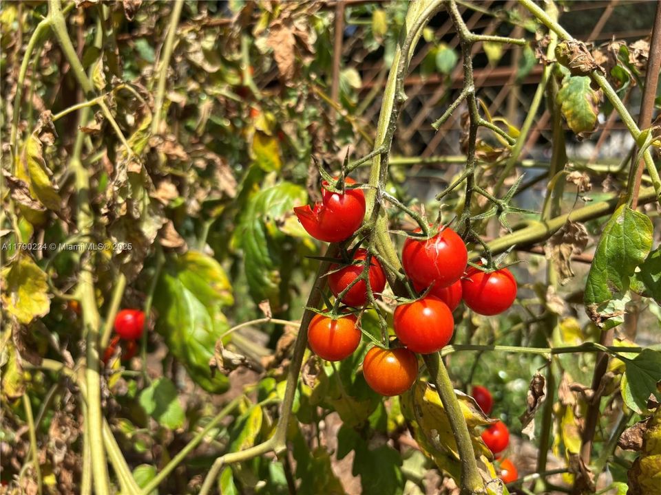 Vendido Recientemente: $1,850,000 (4 camas, 5 baños, 3253 Pies cuadrados)