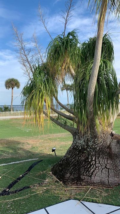 For Rent: $4,390 (3 beds, 3 baths, 3298 Square Feet)