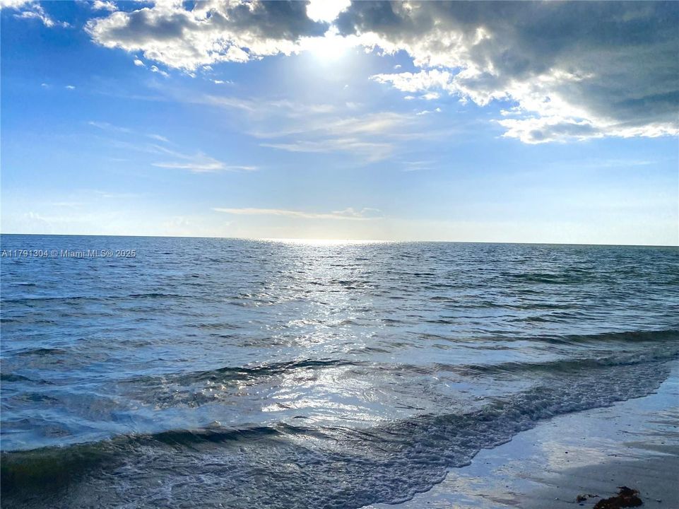 For Rent: $4,000 (2 beds, 2 baths, 0 Square Feet)