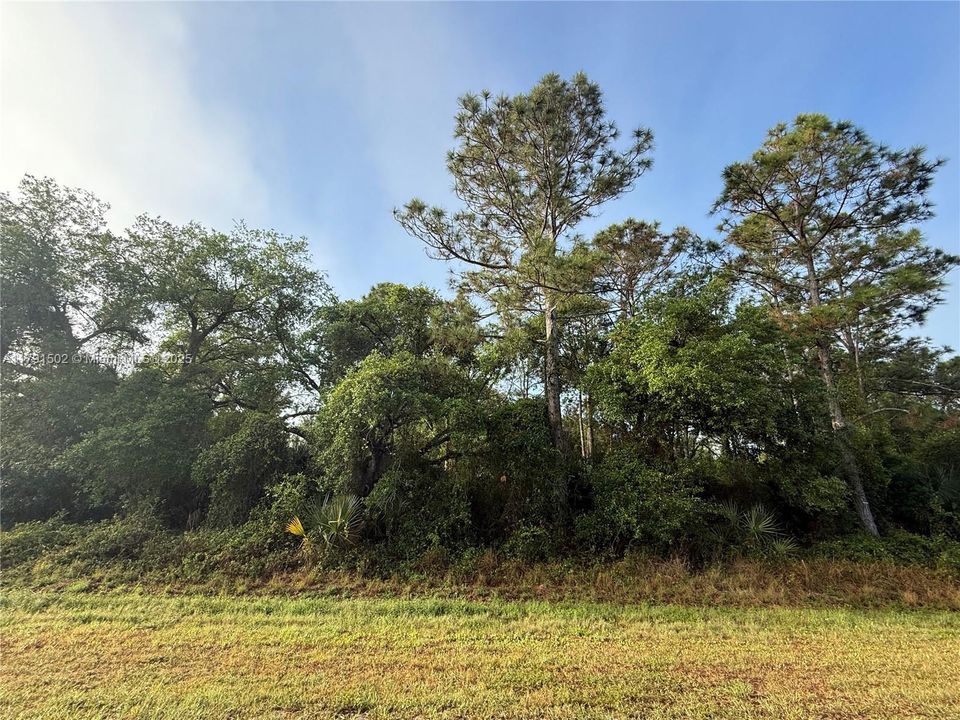 Recently Sold: $49,999 (1.25 acres)