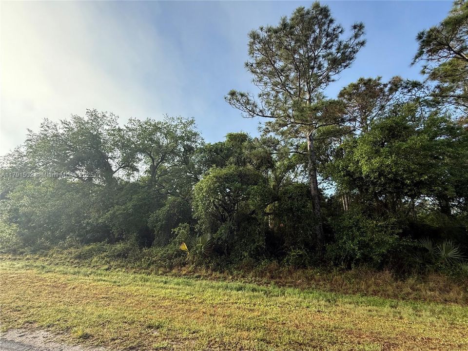 Recently Sold: $49,999 (1.25 acres)