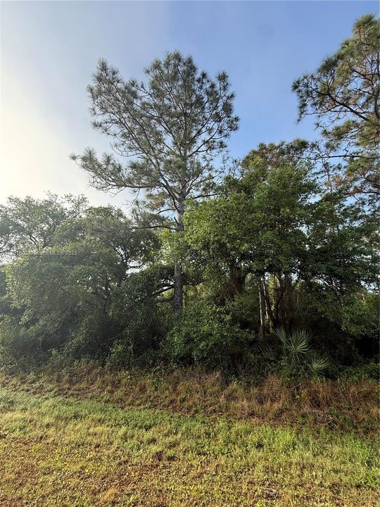 Recently Sold: $49,999 (1.25 acres)