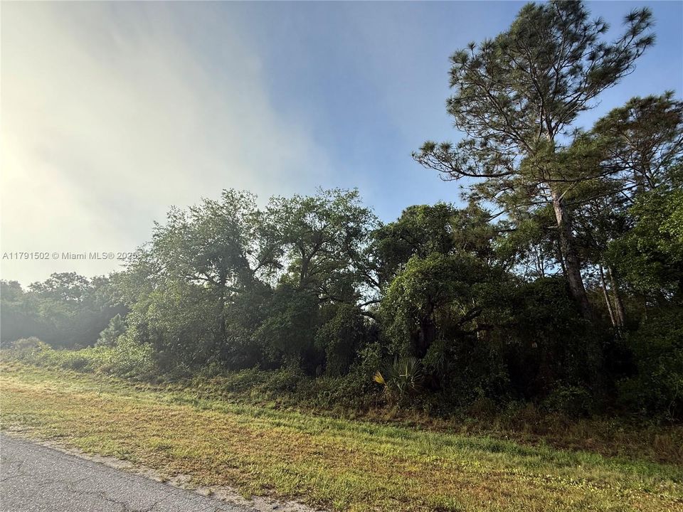 Recently Sold: $49,999 (1.25 acres)