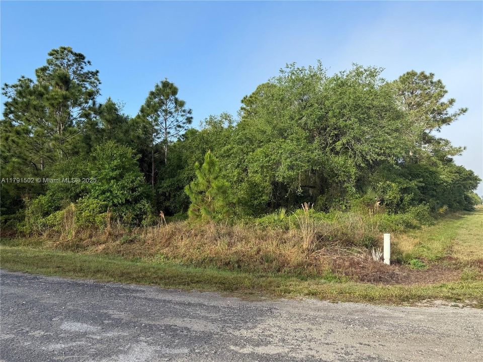 Recently Sold: $49,999 (1.25 acres)