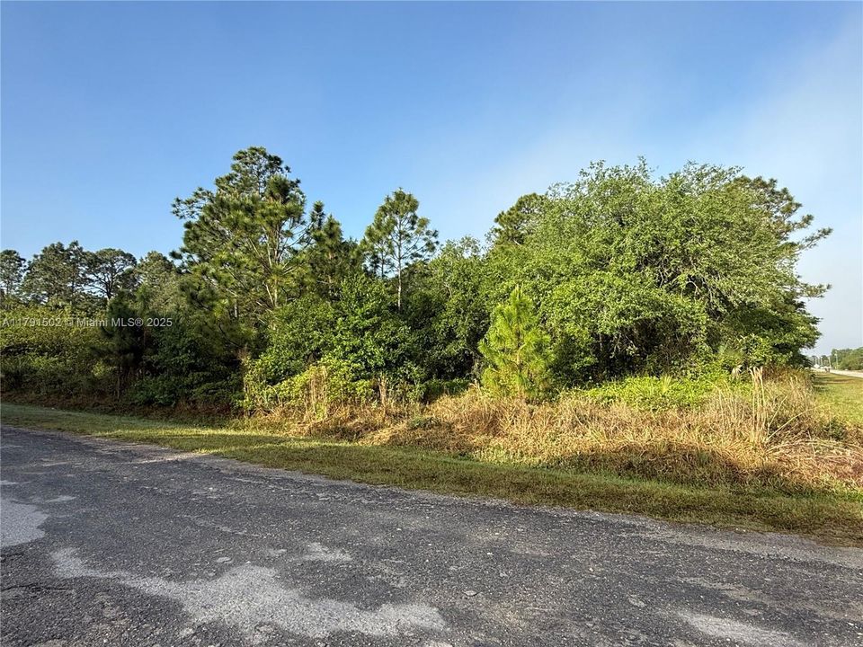 Recently Sold: $49,999 (1.25 acres)