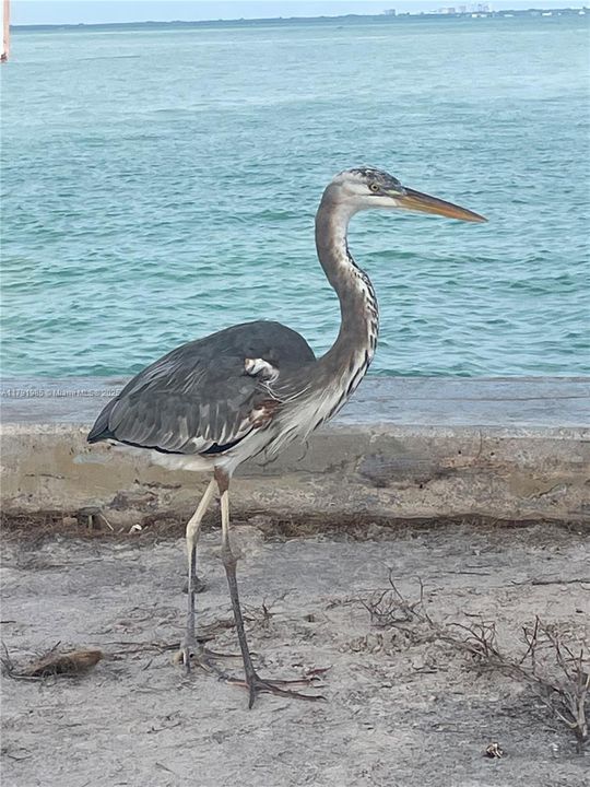 Enjoy nature walks by the ocean!