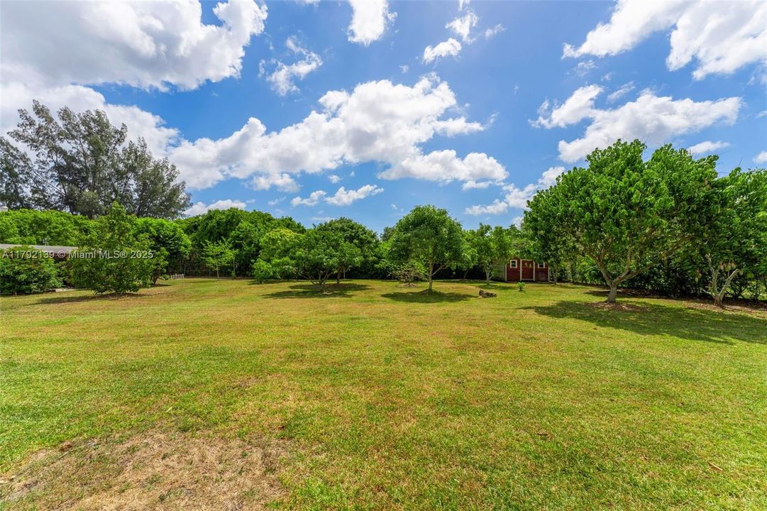 40 ASSORTED FRUIT TREE'S (SEE LIST IN ATTACHMENTS)