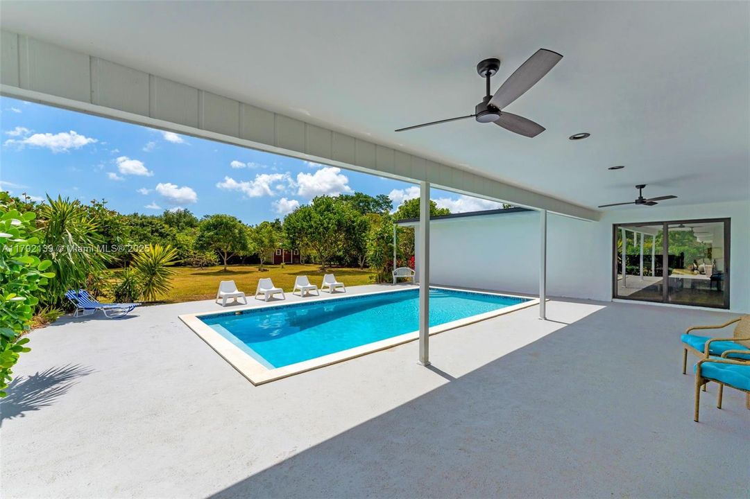 LARGE COVERED BACK PATIO WITH VIEWS TO LG YARD WITH ASST FRUIT TREES AMD A EXTERIOR CABANA, CURRENT USE IS A BBQ. IDEAL TO RENOVATE, UNSEEN FROM THE HOUSE COULD BE ANYTHING!   OVERLOOKS THE HOUSE AND YOUR FRUIT TREE'S.