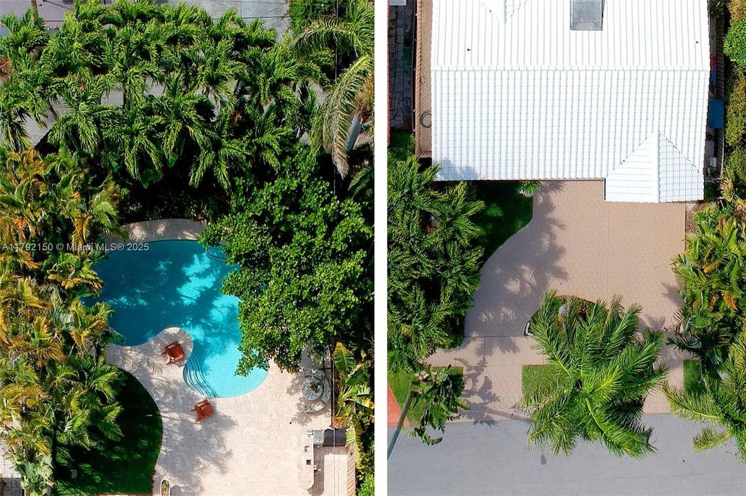 Front driveway / back yard / pool