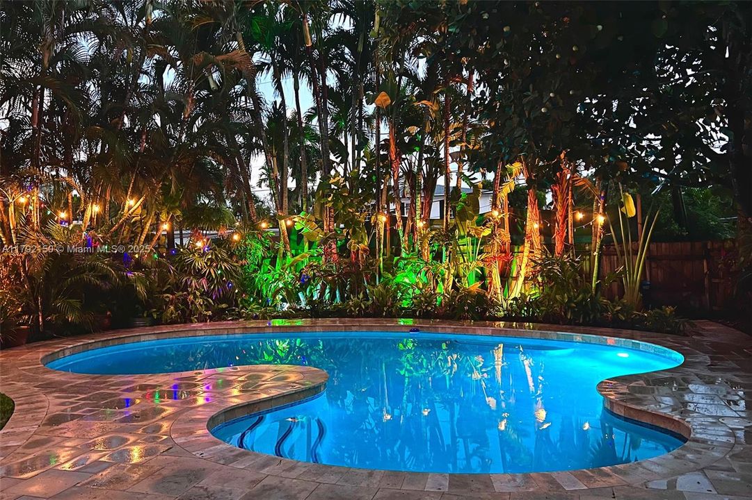 Tropical Oasis / free form heated pool