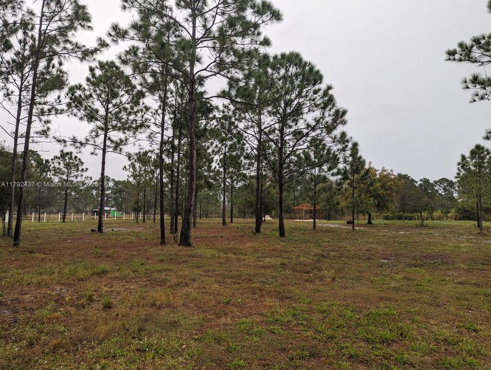 最近售出: $130,000 (2.65 acres)