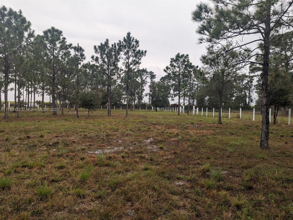 最近售出: $130,000 (2.65 acres)