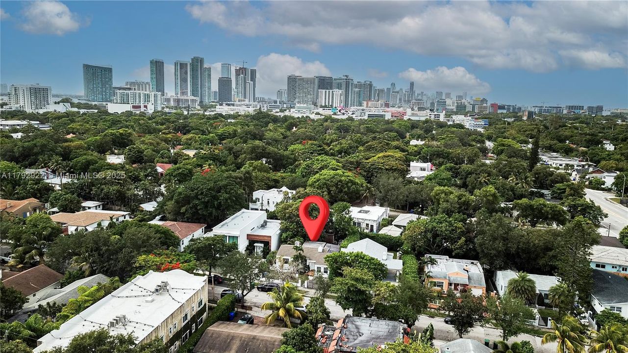 Miami Skyline -South View