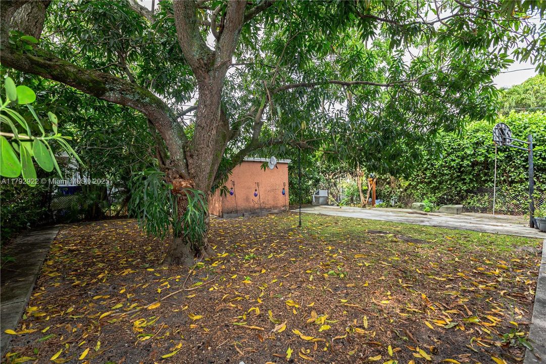 最近售出: $987,500 (2 贝兹, 1 浴室, 1194 平方英尺)