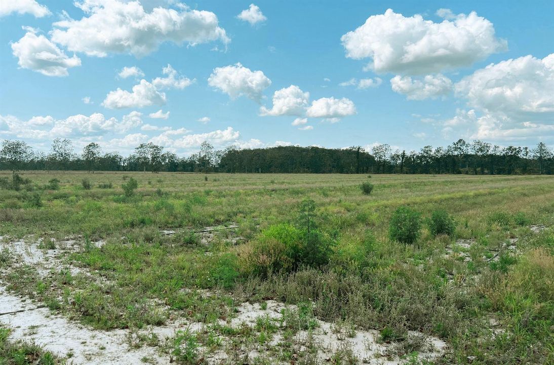image003