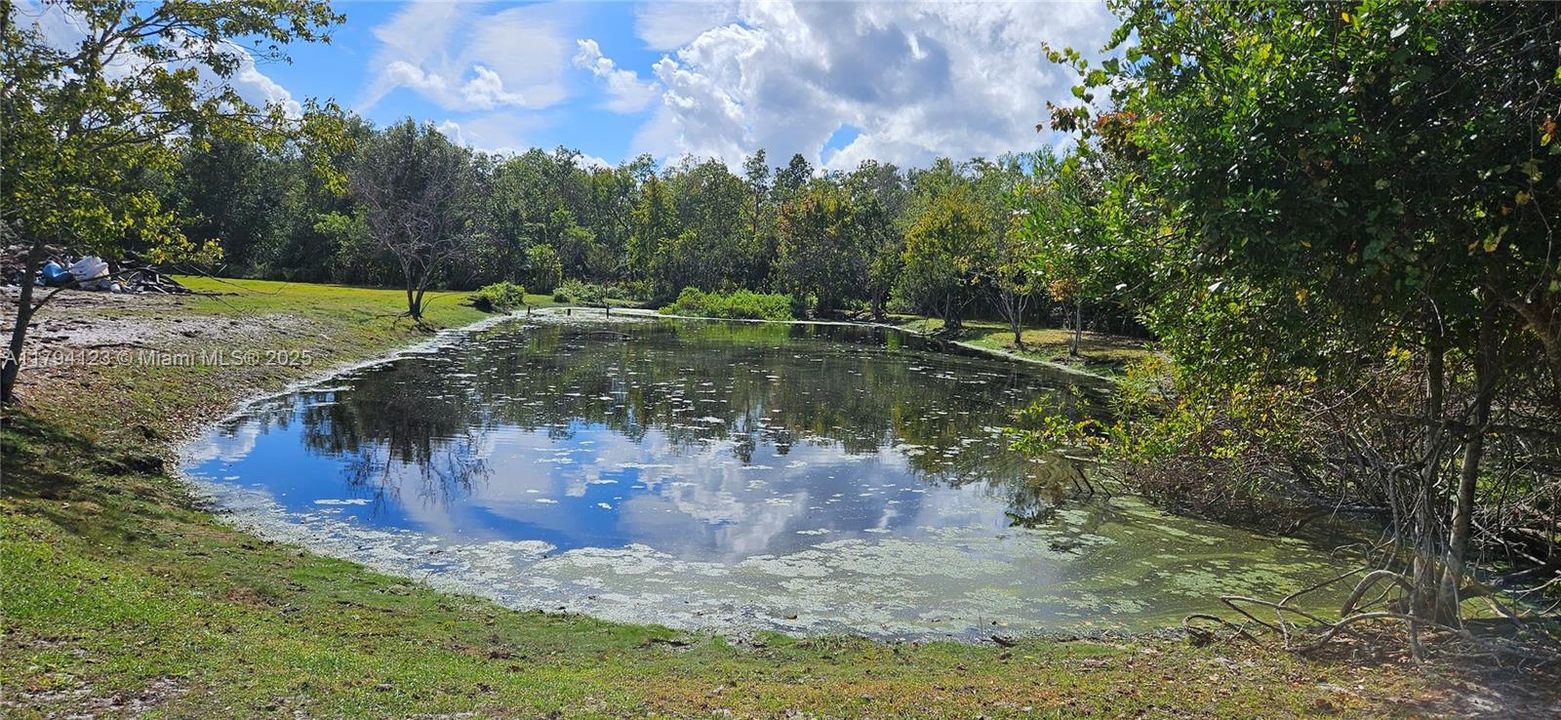 For Sale: $1,200,000 (7 beds, 4 baths, 0 Square Feet)